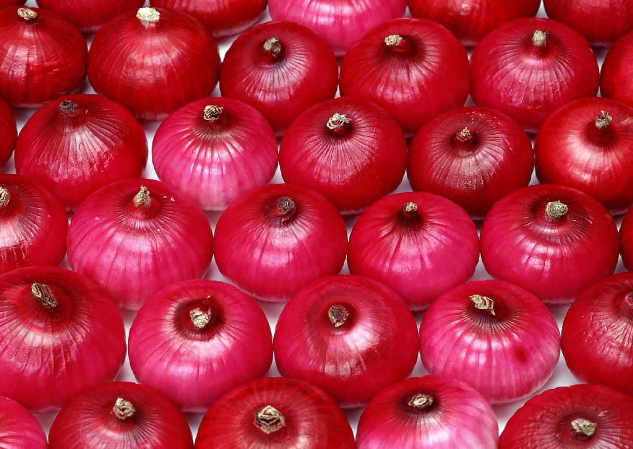 Red onions