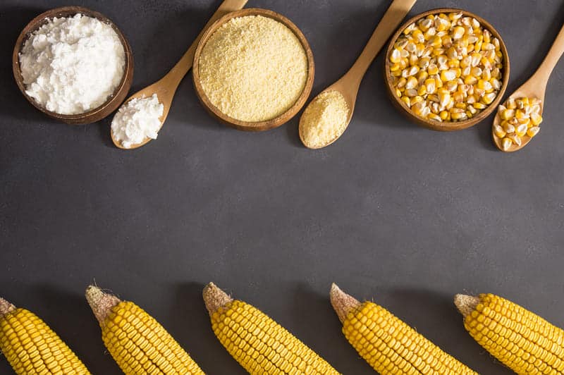 Corn Meal vs Corn Starch