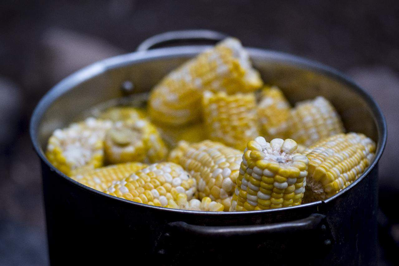 Corn is Done Boiling